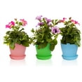 thumbnail image 2 of Flower Pots, 8pcs, 5.5" Plastic Plant pots, Modern Decorative Small Pots for Plants with Saucer Pallet, Flower Plant Container Seed Starting Pots for All House Plants, Herbs and Seedling Nursery, 2 of 9