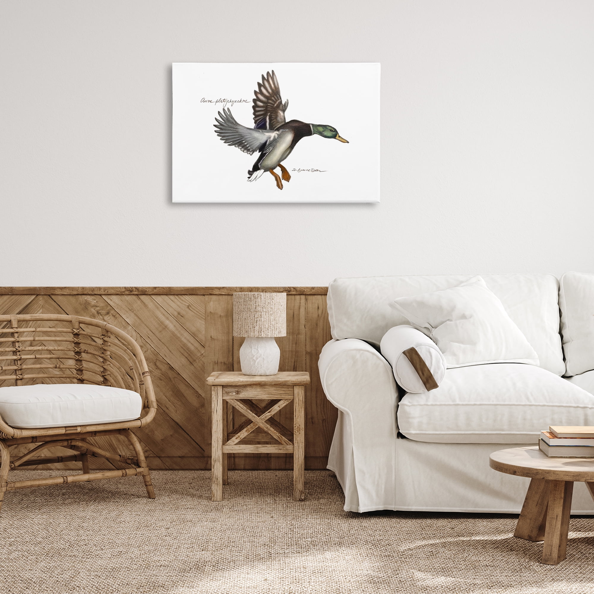 Stupell Industries Flying Mallard Duck Animals & Insects Painting Gallery Wrapped Canvas Art Print Wall Art, 30 x 20