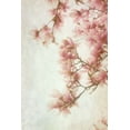 thumbnail image 2 of Poinski, Dianne 11x14 Black Ornate Wood Framed with Double Matting Museum Art Print Titled - Pinker I, 2 of 4