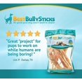 Best Bully Sticks Large Beef Tendon, 10 Ct
