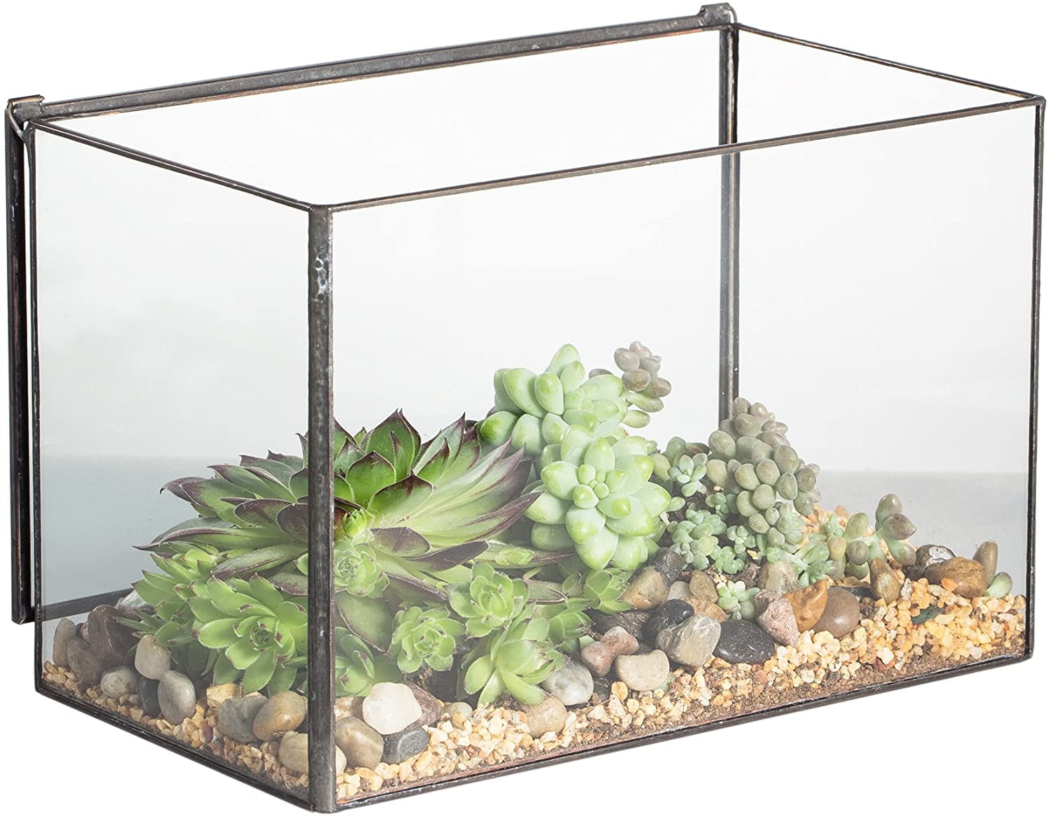 NCYP 9.8inches Irregular Glass Geometric Terrarium Indoor Tabletop Air Plants Box Desktop Display Planter Succulent Holder Flower Pot for Fern Moss DIY（No Plants ）