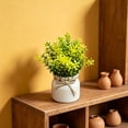 thumbnail image 5 of Virelaxpo Artificial Bonsai Tree in Pot Faux Plant for Home Decor Table Centerpiece No Maintenance Indoor Decoration, 5 of 6