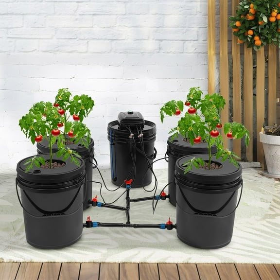 5 Hydroponic Buckets Kit 5.28 Gallon Deep Water Culture Hydroponics Grow System with Pump, Air Stone and Water Level Device for Indoor/Outdoor Herbs, Tomato, Vegetables
