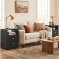 thumbnail image 5 of May in Color End Tables for Bedroom with Storage Shelf & Door, Set of 2 Nightstand, Small Side Table for Living Room, Dorm, Faux 2-Drawer Bedside Table, Black, 5 of 9