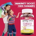 thumbnail image 4 of Complementa la equinácea diaria para niños de Gummy Cuties con vitamina C, 4 of 6