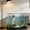 Black, variant on BotaniNest Live Automatic Pond Aquarium Air For Outdoor
