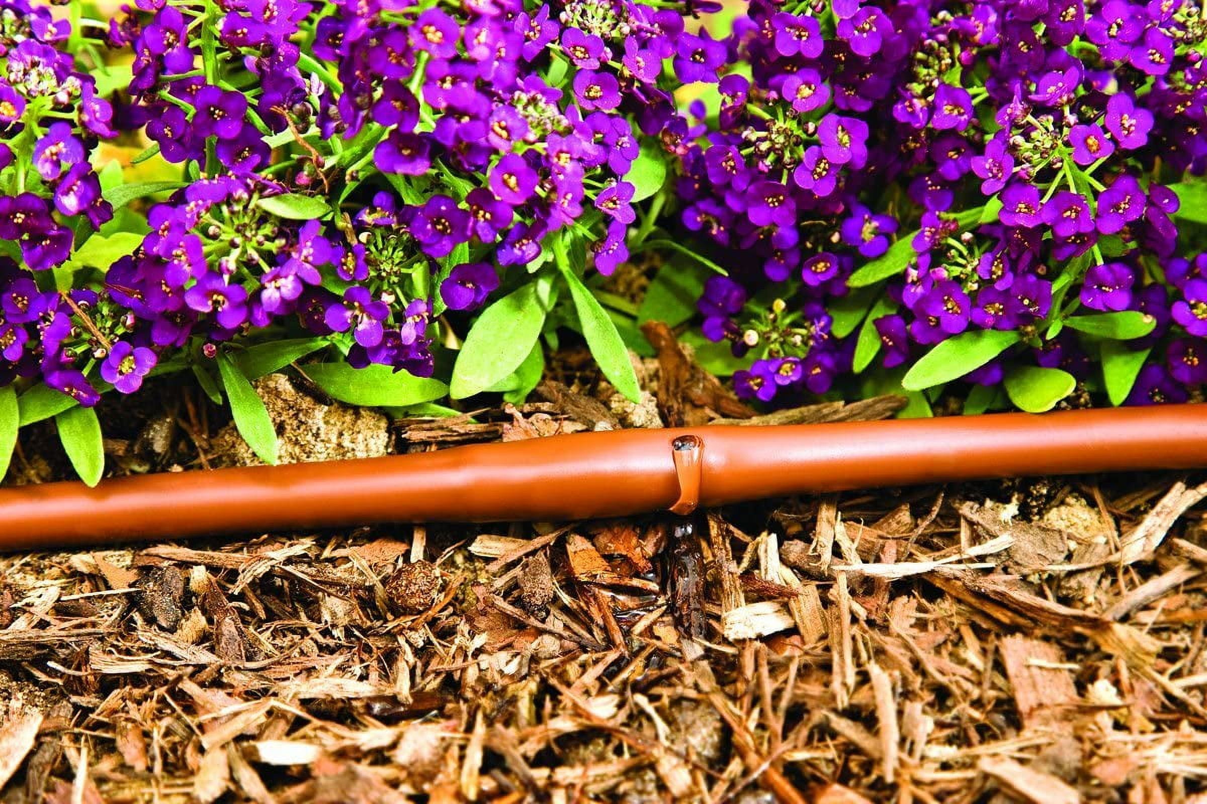 1/4-Inch x 100-Feet Irrigation / Hydroponics Dripline with 9-Inch Emitter Spacing (Brown)