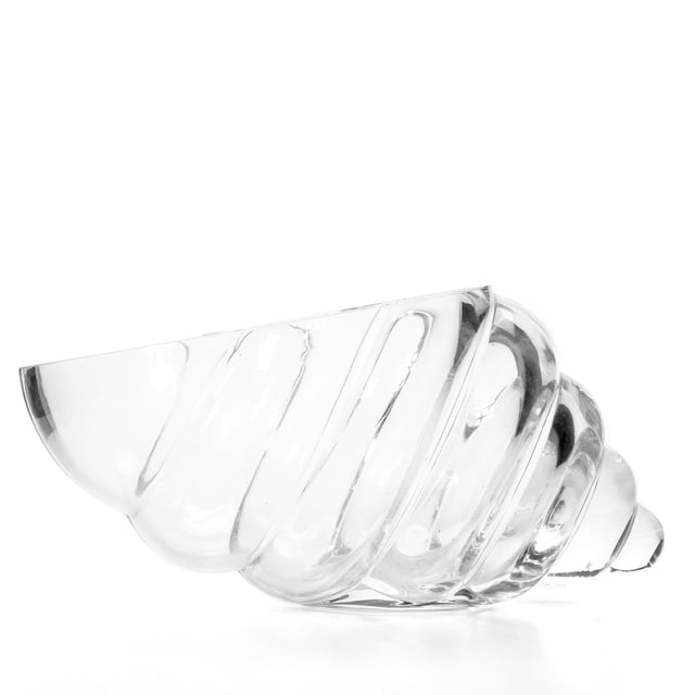 Jarrón Hosley de Vidrio en Forma de Concha 20x13x10 cm Transparente Decorativo
