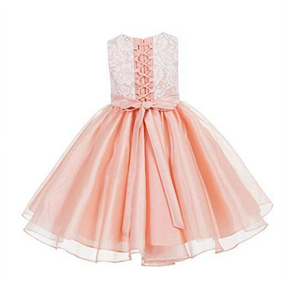 Ekidsbridal Lace Organza Flower Girl Dress Easter Summer Ballroom Birthday Holiday Formal Evening Gown for Toddlers 186F 2