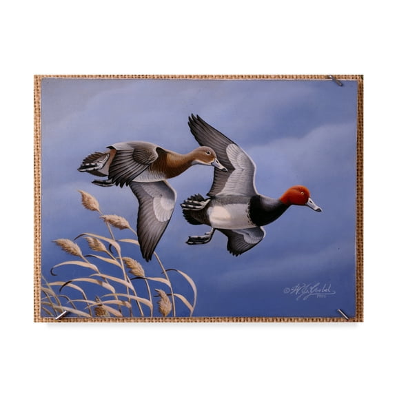 Trademark Fine Art '1986 Redhead Ducks' Canvas Art by Wilhelm Goebel