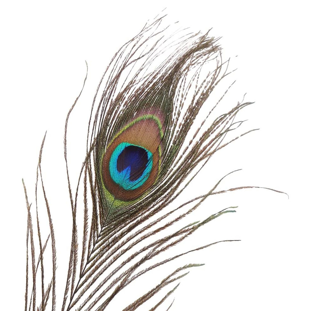 LNGOOR 100 Pieces Natural Peacock Feathers for Craft Halloween Costume Bridesmaid Corsage Christmas Wreath and Home Decor (10-12 inches)