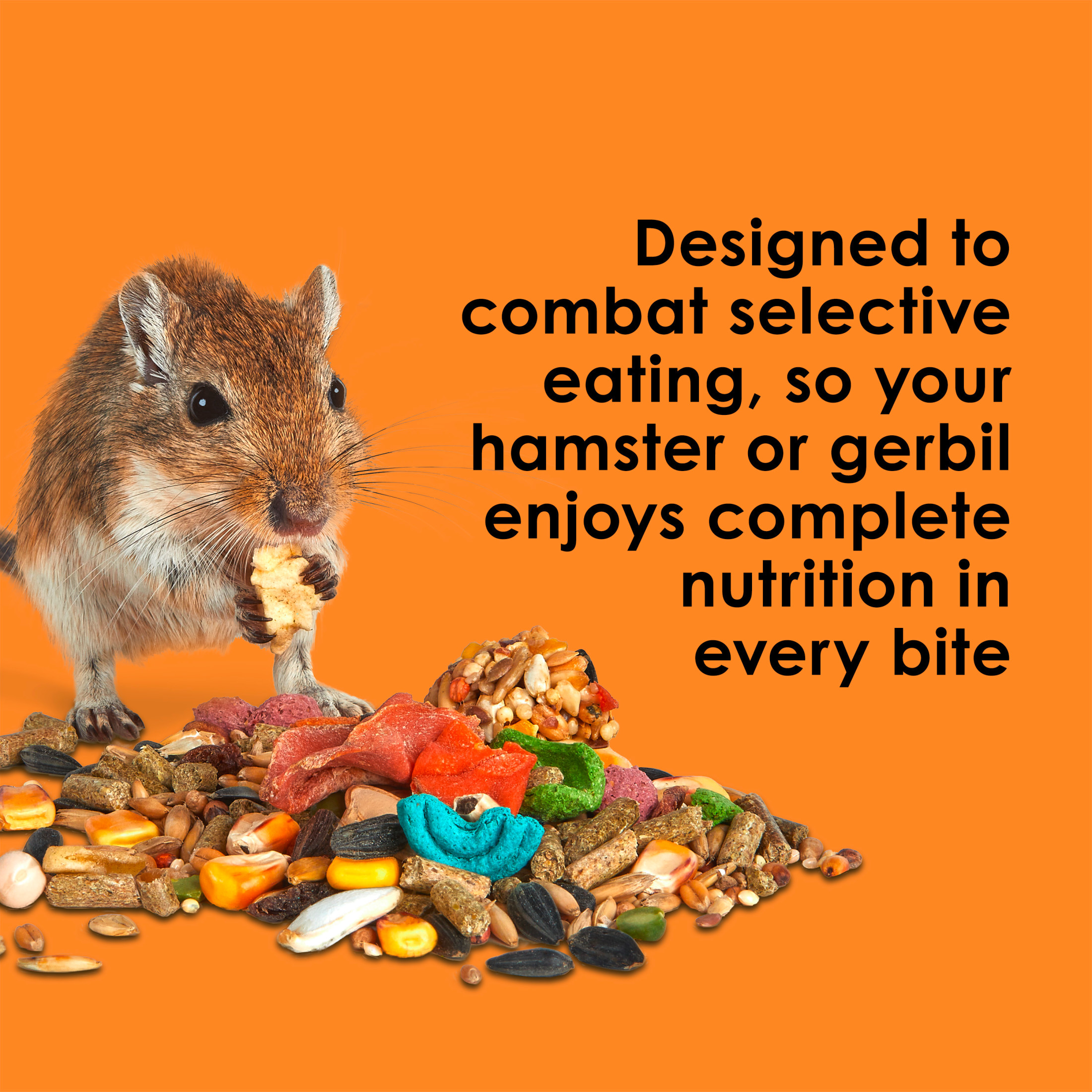 Kaytee Fiesta Hamster and Gerbil Food, 4.5 Pounds photo 4