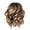 Brown, variant on Desertasis wigs human hair glueless wigs human hair pre plucked pre cut wig for women Parting Brazilian Wig Women Curly High Black Wavy Fiber Hair Temperature Short wig Brown One Size
