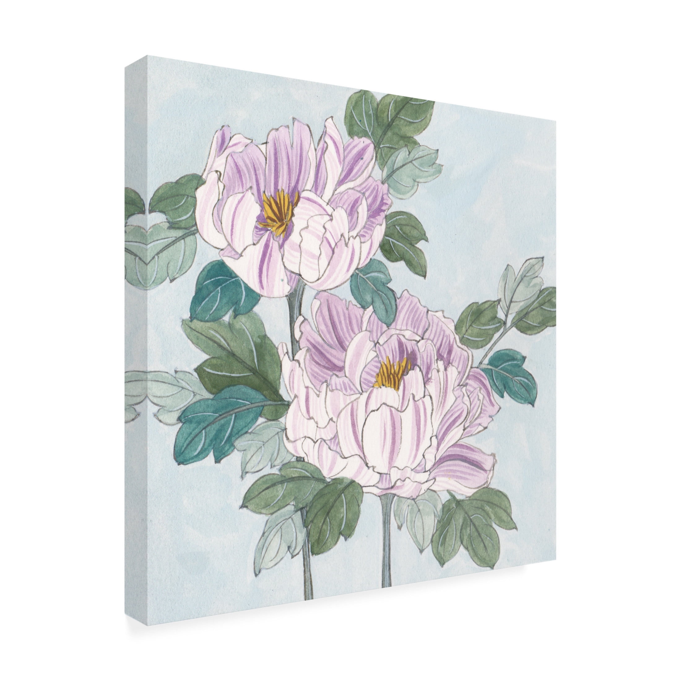 Trademark Fine Art Melissa Wang Striped Peonies II Canvas Wall Art