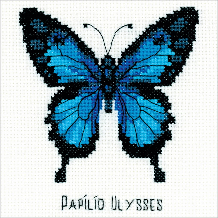 Ulysses Butterfly Counted Cross Stitch Kit, 5" x 5", 14 Count - Walmart.com