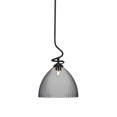 thumbnail image 1 of Capri Stem Pendant With Hang Straight Swivel Shown In Matte Black Finish With 14" Clear Ribbed Glass, 1 of 1
