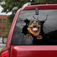 thumbnail image 1 of Autocollants de Voiture Amusants Rottweiler 3D, simulation d'Halloween en PVC, Étanches et Durables, 1 of 1