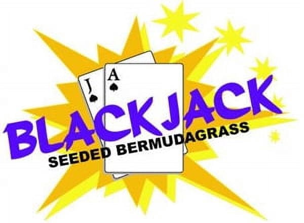 Desert Sun Marketing Blackjack Bermuda Grass Plant Seeds