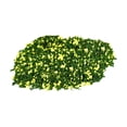 thumbnail image 2 of 30G Hoja en miniatura DIY para modelo Ferrocarril Accesorios de muñecas Jardín de hadas verde Zulema hojas de micro paisaje, 2 of 8