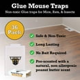 thumbnail image 5 of TwinTech Mouse Glue Boards, Pro Strength | Ready-to-Use Adhesive Traps | Pro-Scented Adhesive | Indoor Use | 36 Count, 5 of 8