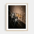 thumbnail image 2 of Disco Ball Champagne Celebration Holiday Sparkle Photography - Photography Disco Ball Nightlife Cocktail Moody Vintage Unframed Wall Art Print 8 x 10 inches, 2 of 4