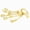 Gold, variant on Boxing Gloves Gothic Skull Finger Bracelet Gloves for Halloween Party Goth Accessories