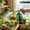 83#Green, variant on Gardening Watering Spray Bottle, Pressurized Pneumatic Water Mincer Kettle, Fine Mist Nozzle Household Flower Pot Sprayer, Ergonomic Grip Cleaning Solution Container, for Patio Yard Plants Indoor