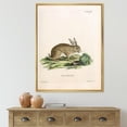 thumbnail image 2 of Designart 'Ancient Rabbits In Earth Tones' Farmhouse Framed Canvas Wall Art Print, 2 of 5