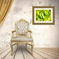 thumbnail image 3 of Miller, Anna 32x25 Gold Ornate Wood Framed with Double Matting Museum Art Print Titled - Closeup of a Succulent, 3 of 4