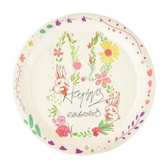 Tainini Bunny Birthday Decorations Tableware, Paper Plate for Easter Birthday, Serves 10