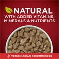 thumbnail image 4 of Purina ONE True Instinct Wet Dog Food, High Protein Soft Beef & Salmon, 13 oz Can, 4 of 11