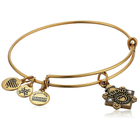 Alex and Ani Womens Because I Love You, Friend Charm Bangle Bracelet, Rafaelian Gold, Expandable