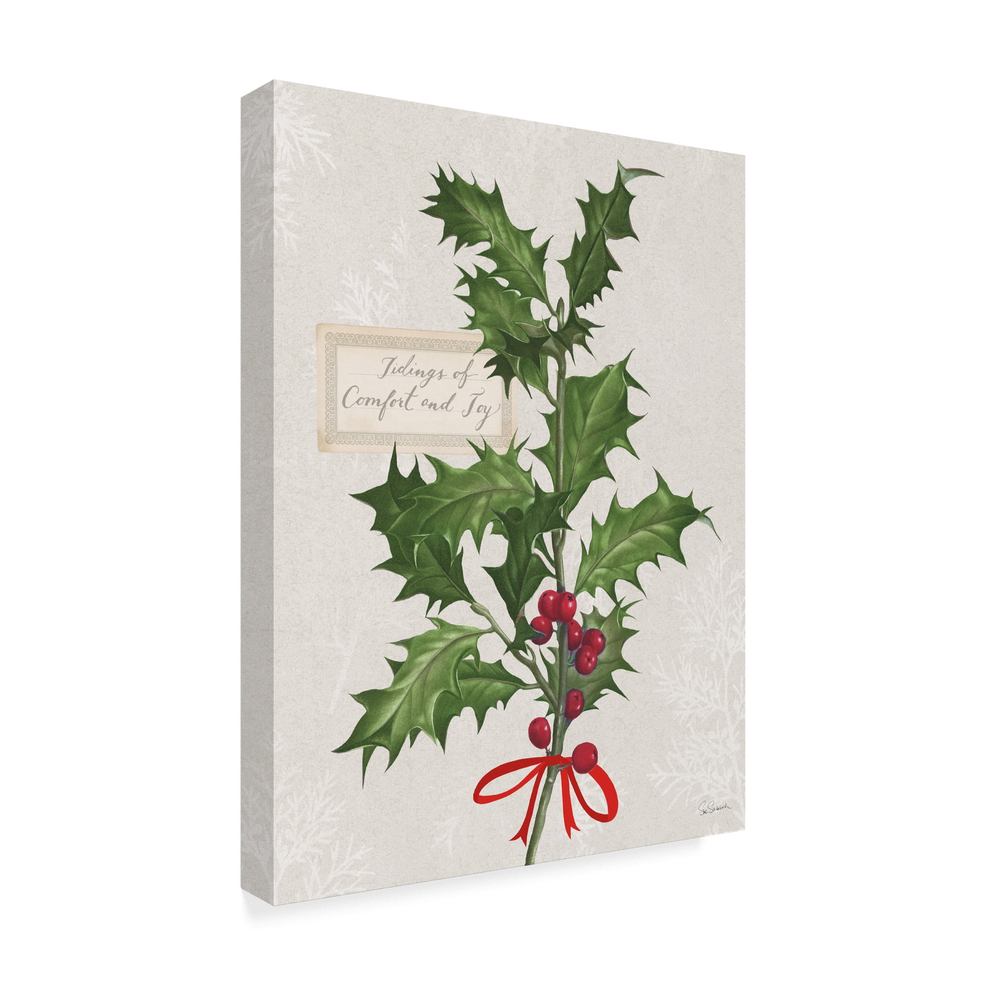 Trademark Fine Art 'Joyful Tidings VI' Canvas Art by Sue Schlabach