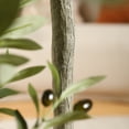 thumbnail image 4 of 2 Pack Artificial Olive Plants, 4ft Fake Plastic Olive Tree, Pre Potted Faux Greenry Plant for Home Decor Office House Living Room Indoor Outdoor, 4 of 9
