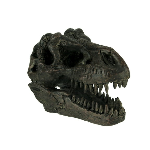 Zeckos 5.75 In Tyrannosaurus Rex Dinosaur Skull Fossil Statue Resin T-Rex Head