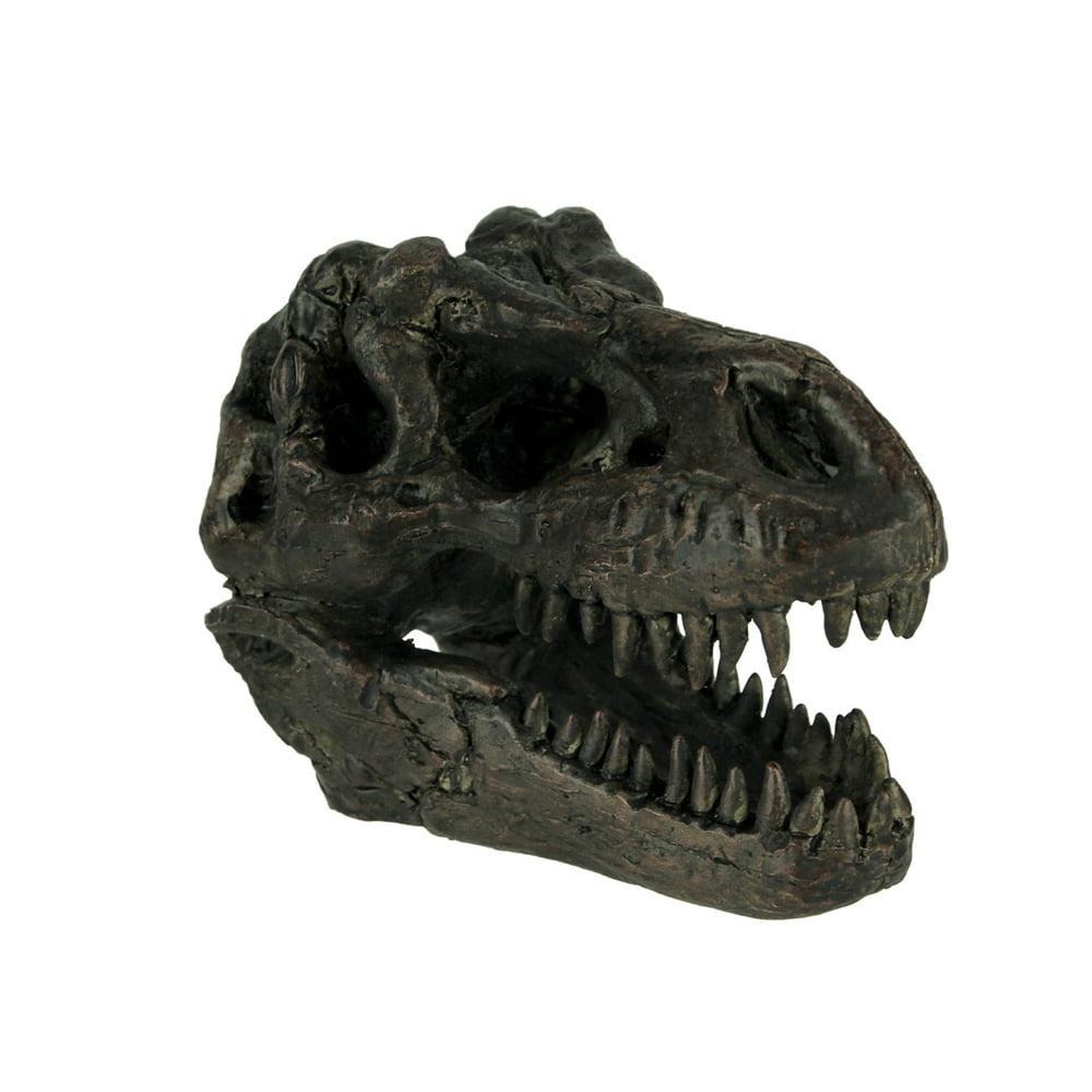 t rex head fossil