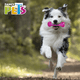 thumbnail image 2 of Juguete para perro Fancy Pets  Mancuerna prisma con sonido chica., 2 of 2