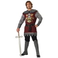 thumbnail image 1 of Noble Knight Costume, 1 of 1