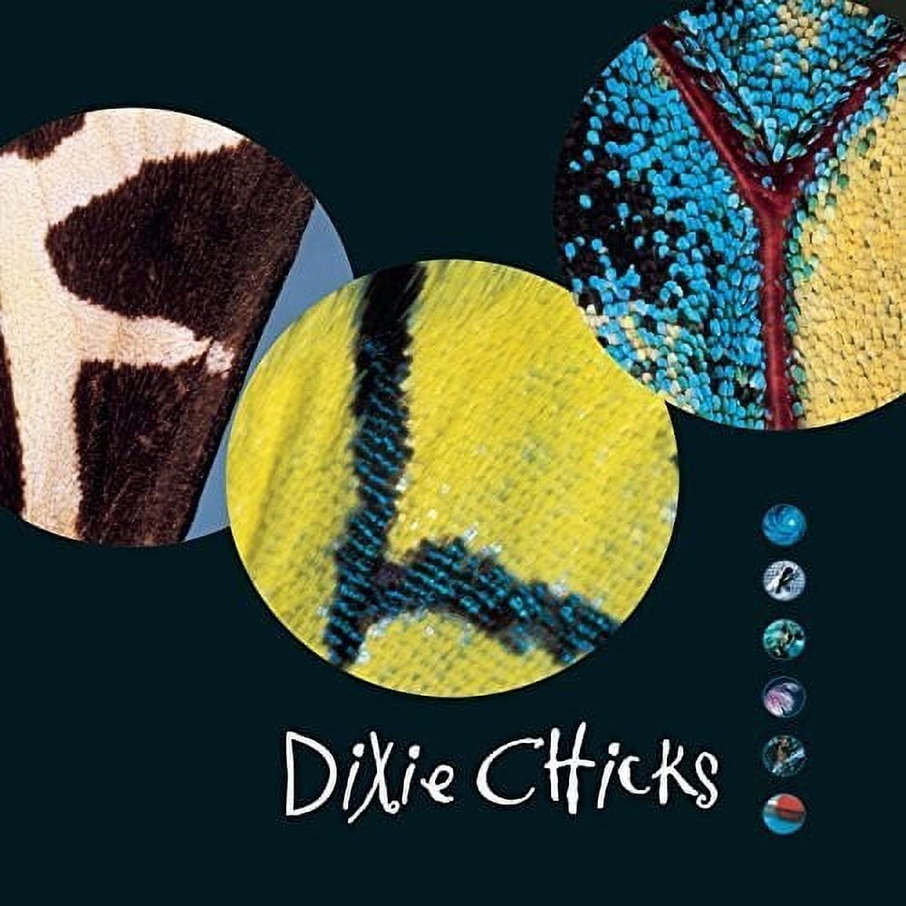 The Chicks - Wide Open Spaces - Music & Performance - Vinyl
