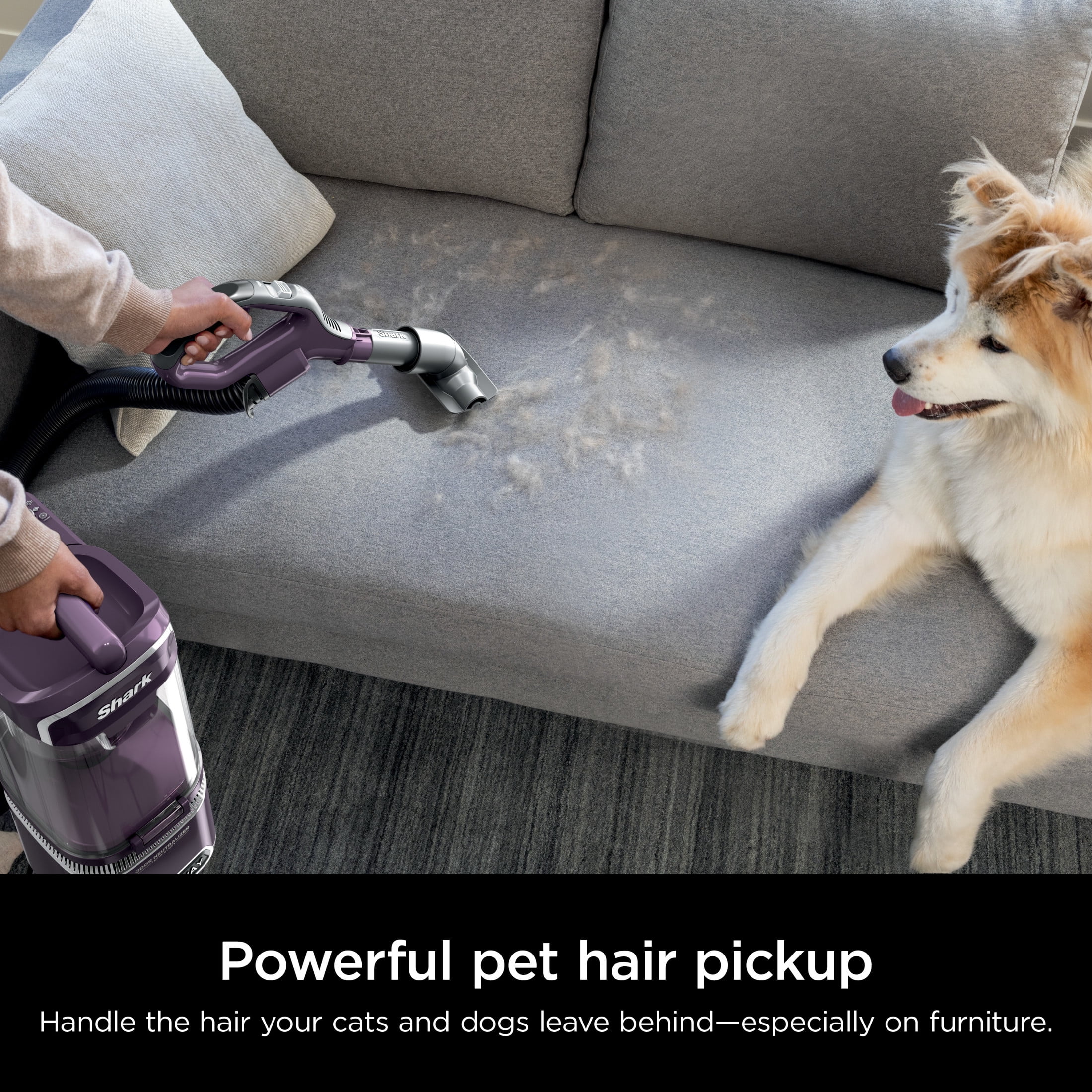 Shark Detect Lift-Away ADV Upright Vacuum, Pet Friendly, Floor Detect, Direction Detect, PowerFins Self-Cleaning Brushroll, LA490 Mauve