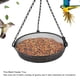 thumbnail image 4 of Bandeja De Comedero Para Pájaros, Comedero Para Pájaros Resistente A La Intemperie Para Jardín, 4 of 7