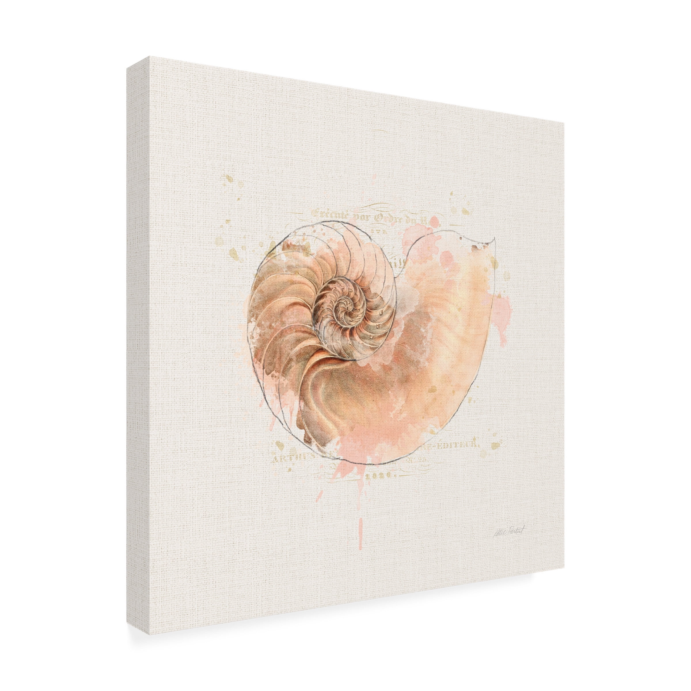 Katie Pertiet 'Shell Collector II' Canvas Art