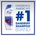 thumbnail image 5 of Head and Shoulders Dandruff Shampoo, Old Spice Swagger, 12.8 fl oz, 5 of 6