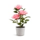 thumbnail image 1 of Naiovety Luz LED solar Bonsai único Lámpara de maceta Planta en maceta Luces de rosas Jardín Lámparas de noche Césped Dormitorio Hogar Decoración del hogar Rosado, 1 of 6