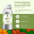 thumbnail image 4 of SVA Lemongrass Essential Oil Organic – 16 Fl Oz – 100% Natural Organic Lemongrass Oil for Hair, Face, Skin Care, Diffuser, Aromatherapy, Scalp, Body Massage, Soap and Candle Making, 4 of 8