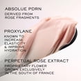 thumbnail image 3 of Crema hidratante Lancôme Absolue The Soft Cream, 60 ml, recargable, 3 of 7