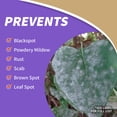 thumbnail image 4 of Pesticida Bonide Captain Jack's Spray para tomates y verduras 946 ml, 4 of 8