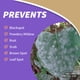 thumbnail image 4 of Pesticida Bonide Captain Jack's Spray para tomates y verduras 946 ml, 4 of 8