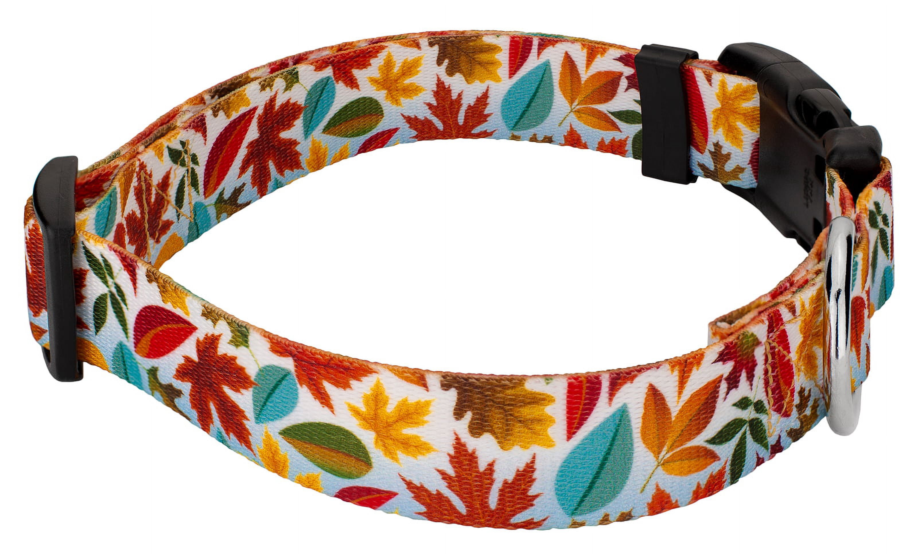 Country Brook Petz® Brisk Autumn Everyday Dog Collar and Leash, Small