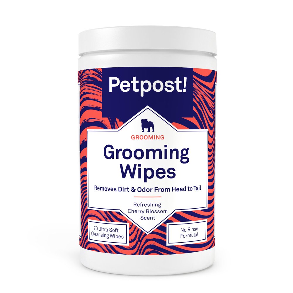 Petpost Grooming Wipes for Dogs Large, Deodorizing Wipes with